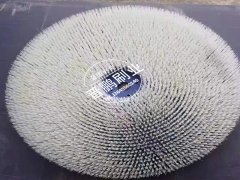 手套生产线用毛刷9