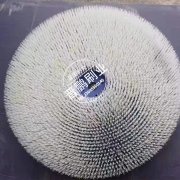 手套生产线用毛刷9